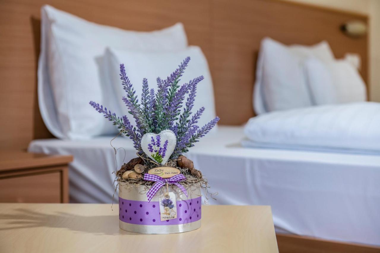 Zichy Park Hotel Bikács Extérieur photo